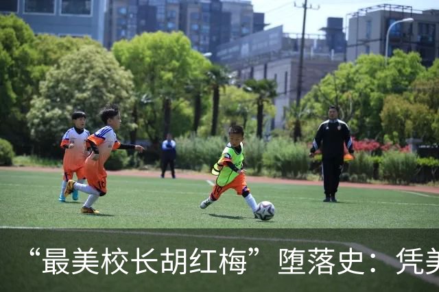 “最美校长胡红梅”堕落史：凭美貌走上巅峰，一夜之间人设崩塌